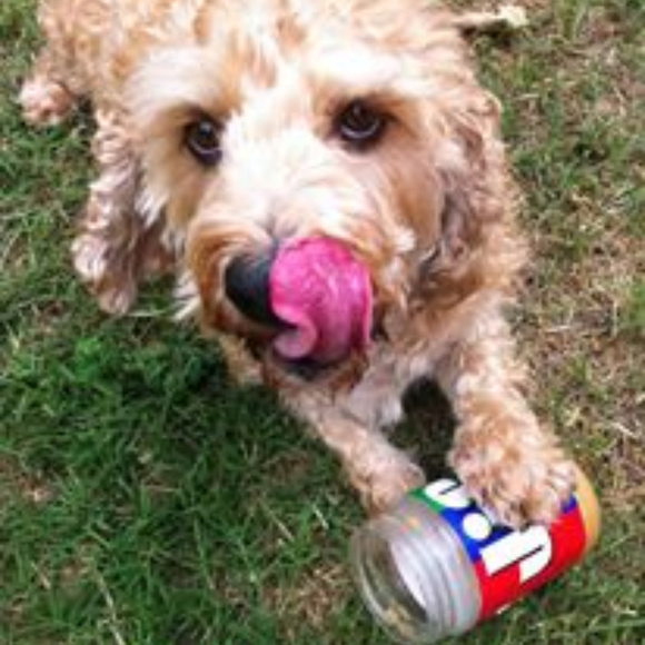 Hey, Hey, Hey it's Tracy!  ♥ Poshmark Ambassador ♥ - Picture 2 of 5